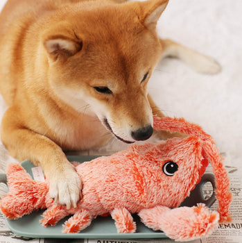 "Dancing Lobster Toy for Dog"
